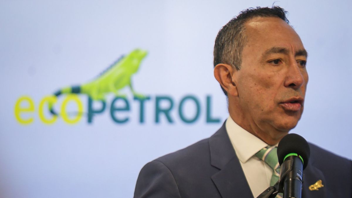 ecopetrol ricardo roa irregularidades informacion financiera