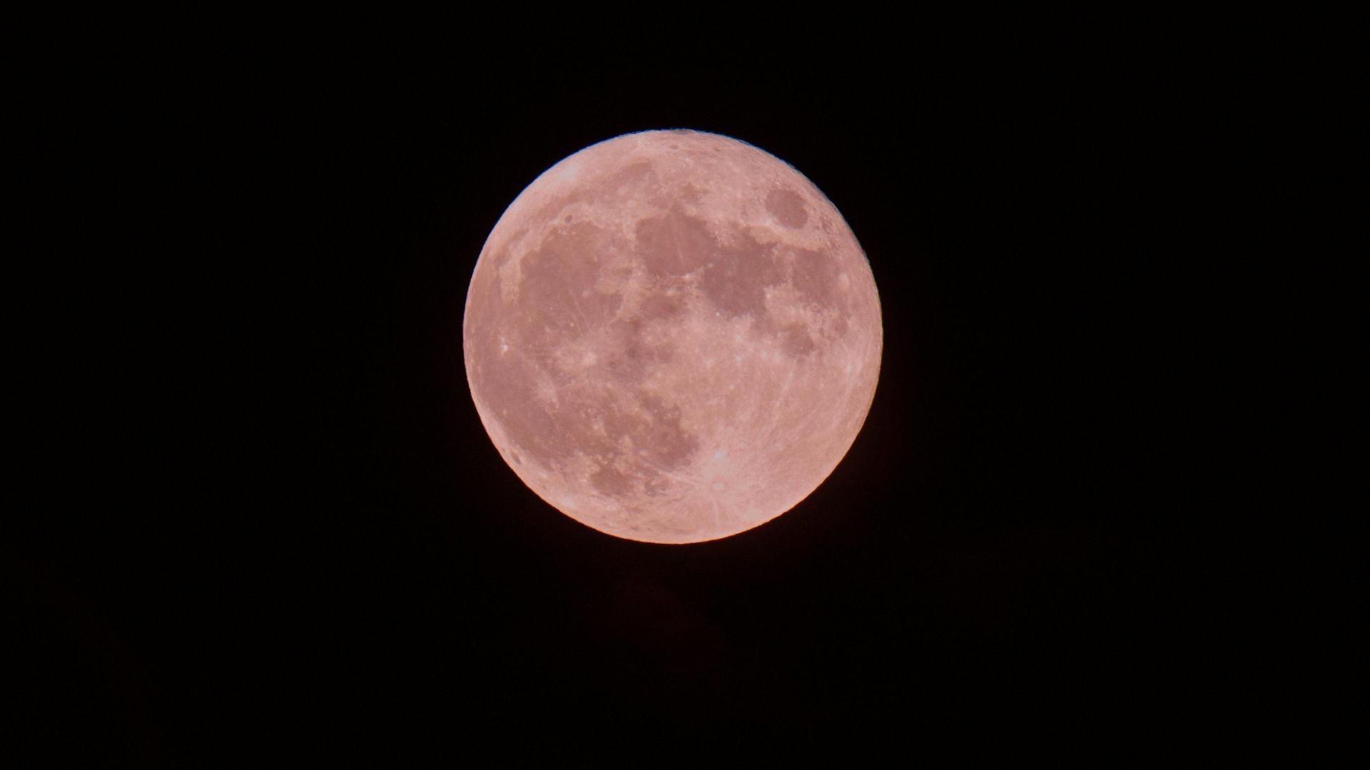 La Luna llena del 2 de abril recibe el nombre de Luna rosa por la floración del flox rastrero en América del Norte.