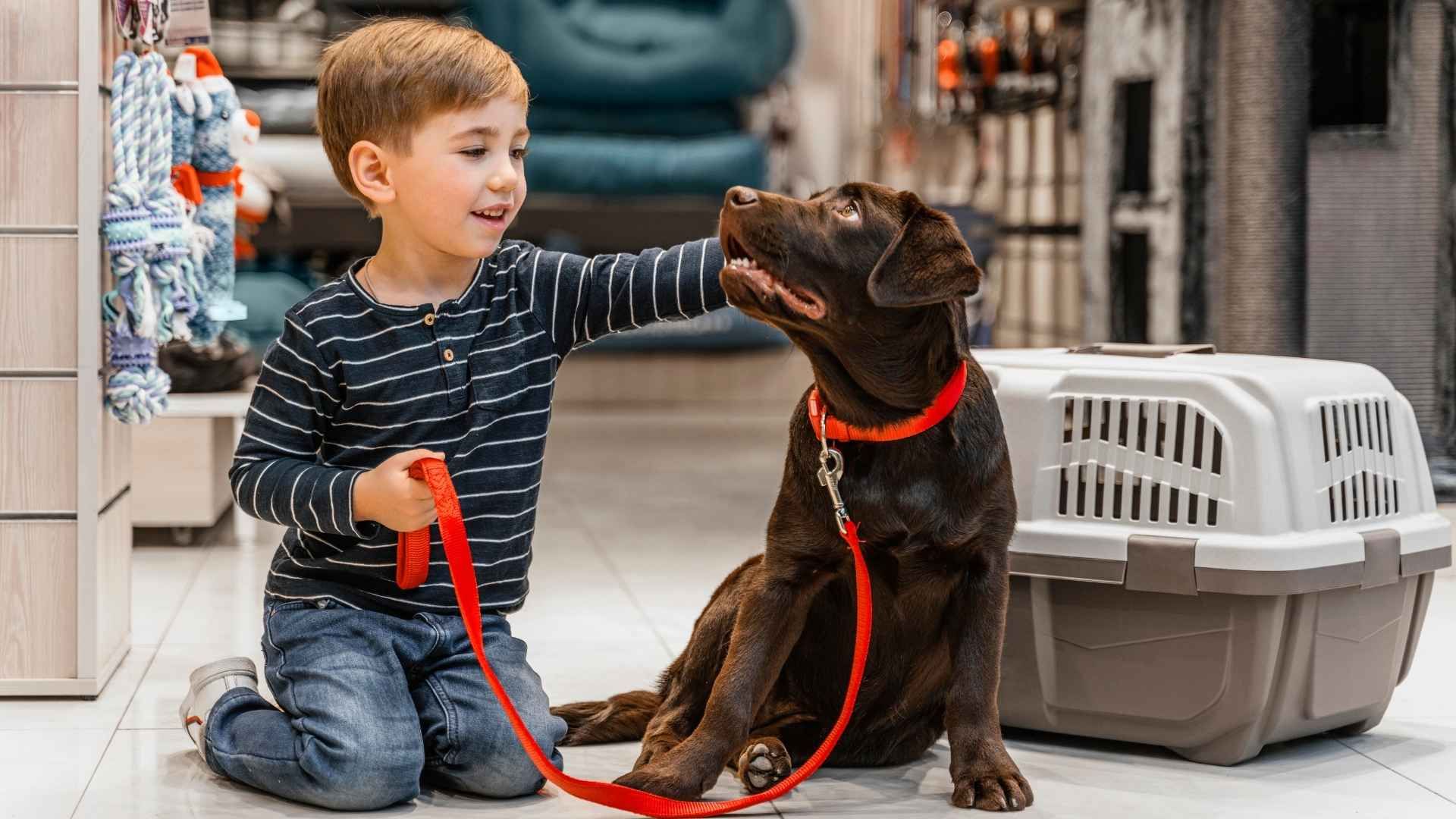 Los cambios de comportamiento pueden ser la primera señal de que el animal no se adapta.