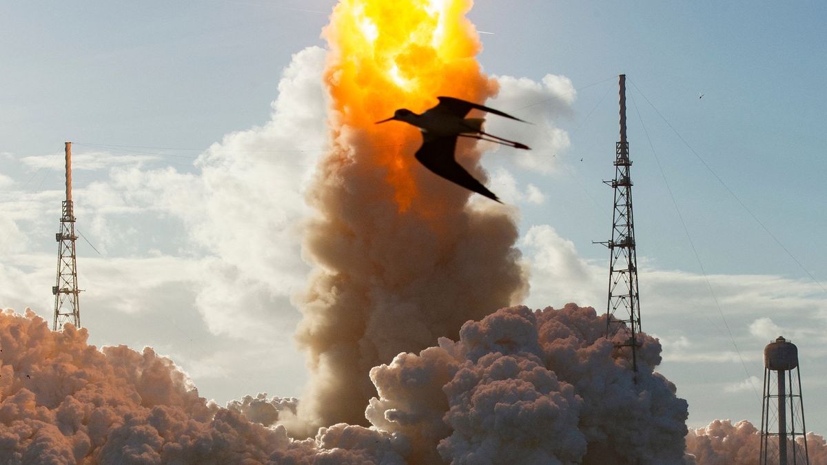 artemis nasa exploración espacial luna marte tecnología cápsula