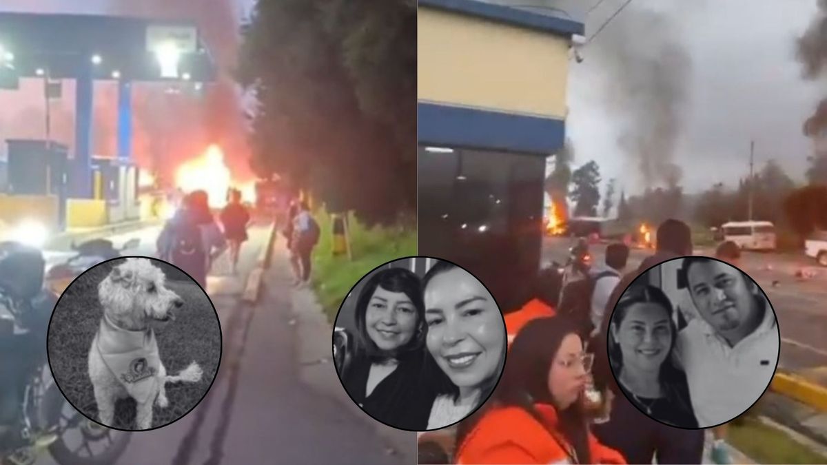 El suceso provocó la muerte de cinco personas y un perro.