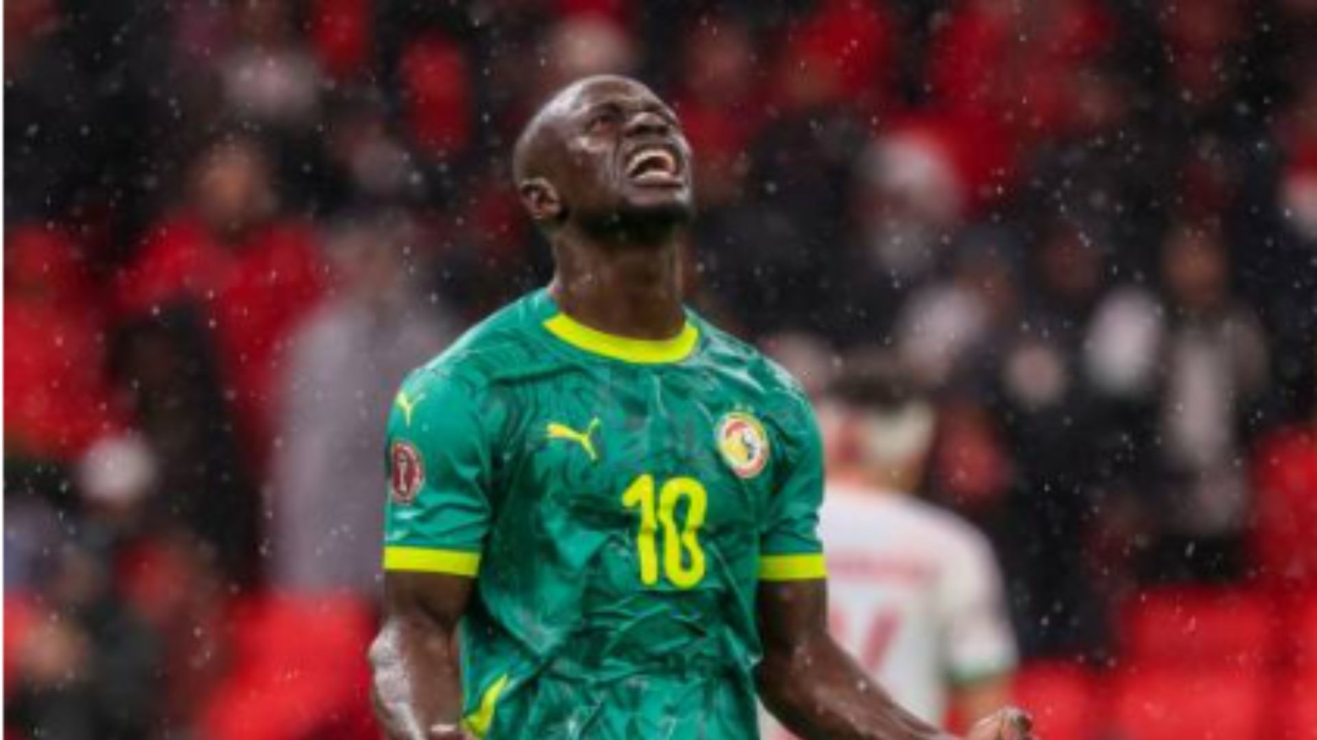 El equipo senegalés es uno de los más fuertes de la CAF.