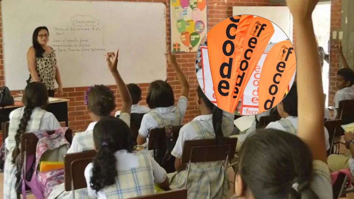 Fecode paro de maestros