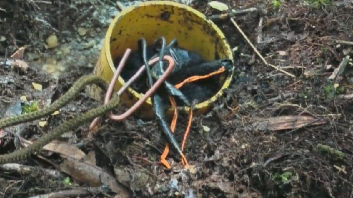 El Ejército halló y destruyó un campo minado en Anorí: ocho explosivos estaban muy cerca de la comunidad
