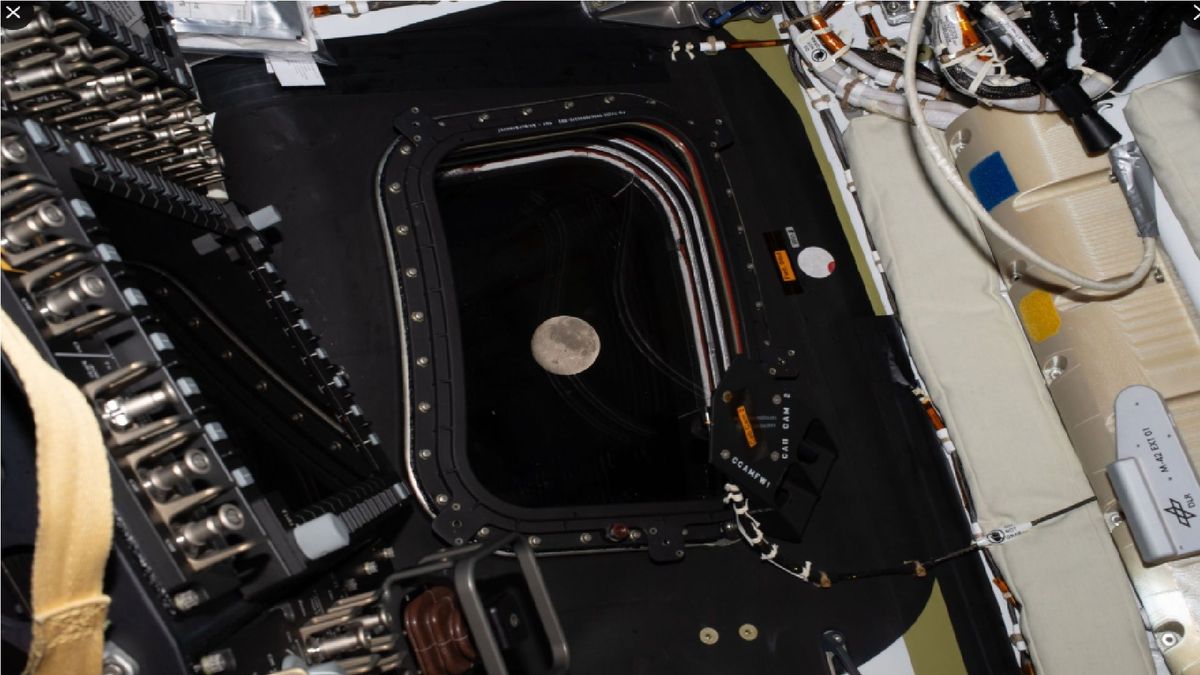 Misión Artemis II sobrevolará la luna.