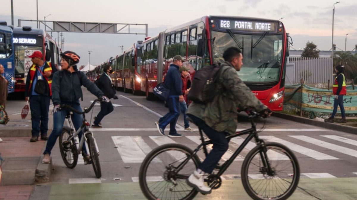 El tramo entre calles 99 y 200 concentra la discusión por traslado de árboles, adiciones presupuestales y tiempos de ejecución.