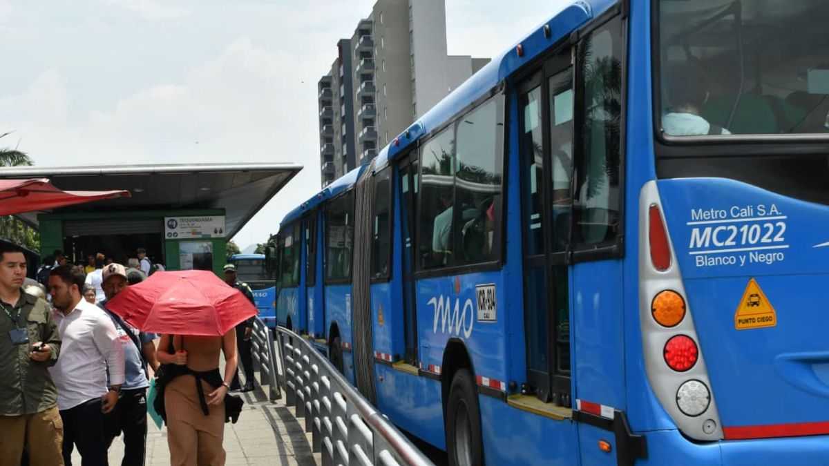 Transporte Masivo Integrado de Occidente, MIO