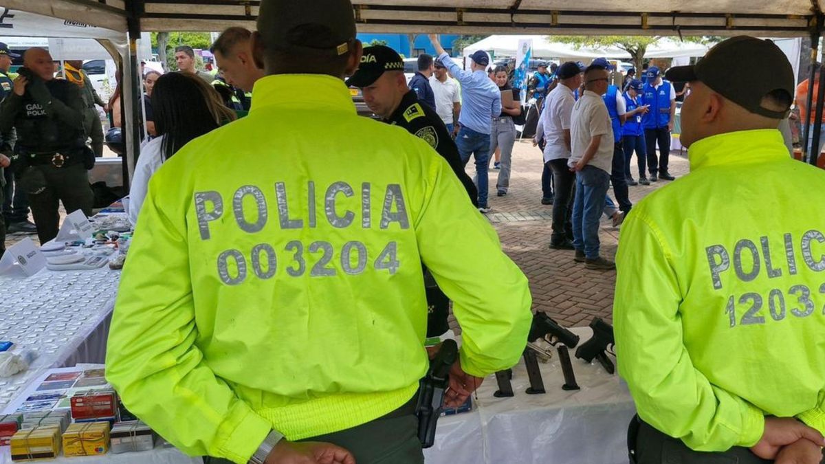 Megatoma en Buga, Valle del Cauca