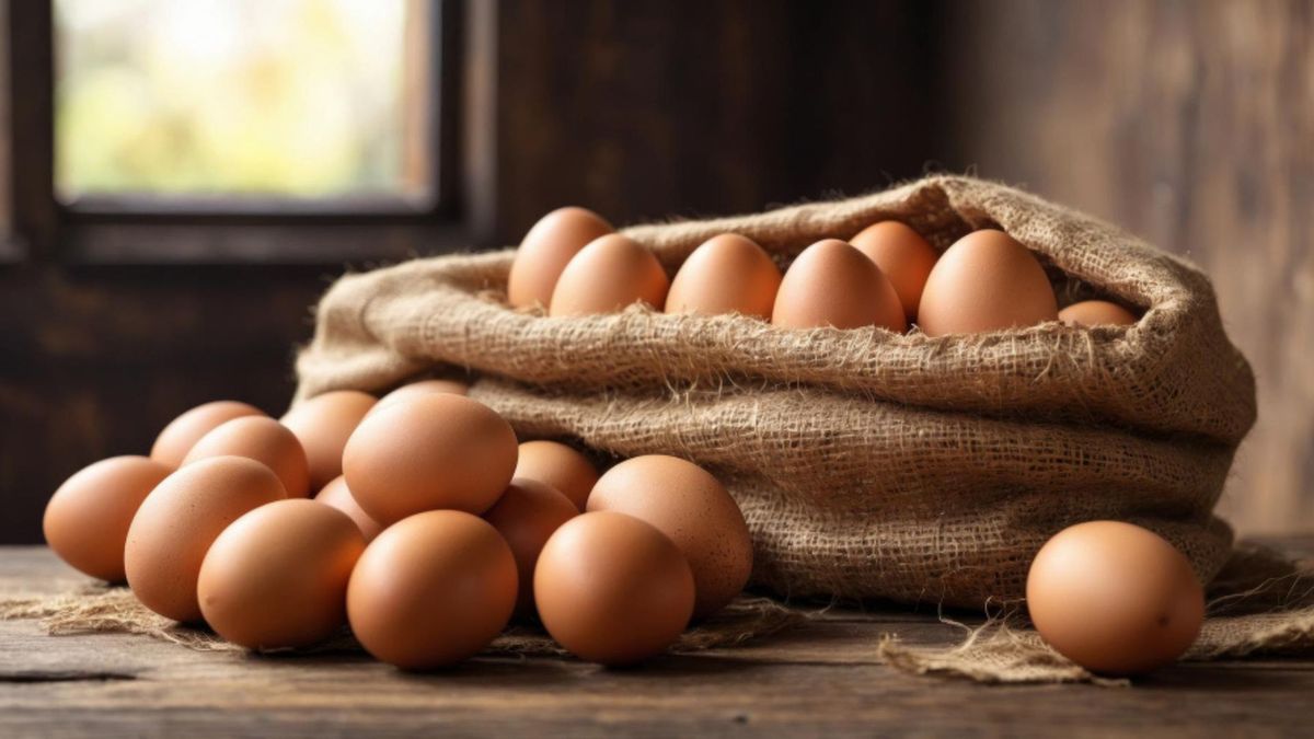 El presidente de la Federación Nacional de Avicultores (Fenavi), Gonzalo Moreno, informó que los bloqueos registrados en Santander, Boyacá y Cundinamarca están impactando directamente la operación del sector.