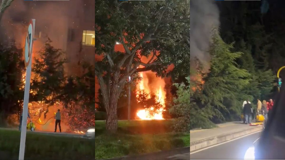 Un incendio en el norte de Bogotá provocó alertas entre vecinos y caos vial. Varias publicaciones en redes sociales muestran la voracidad de las llamas.