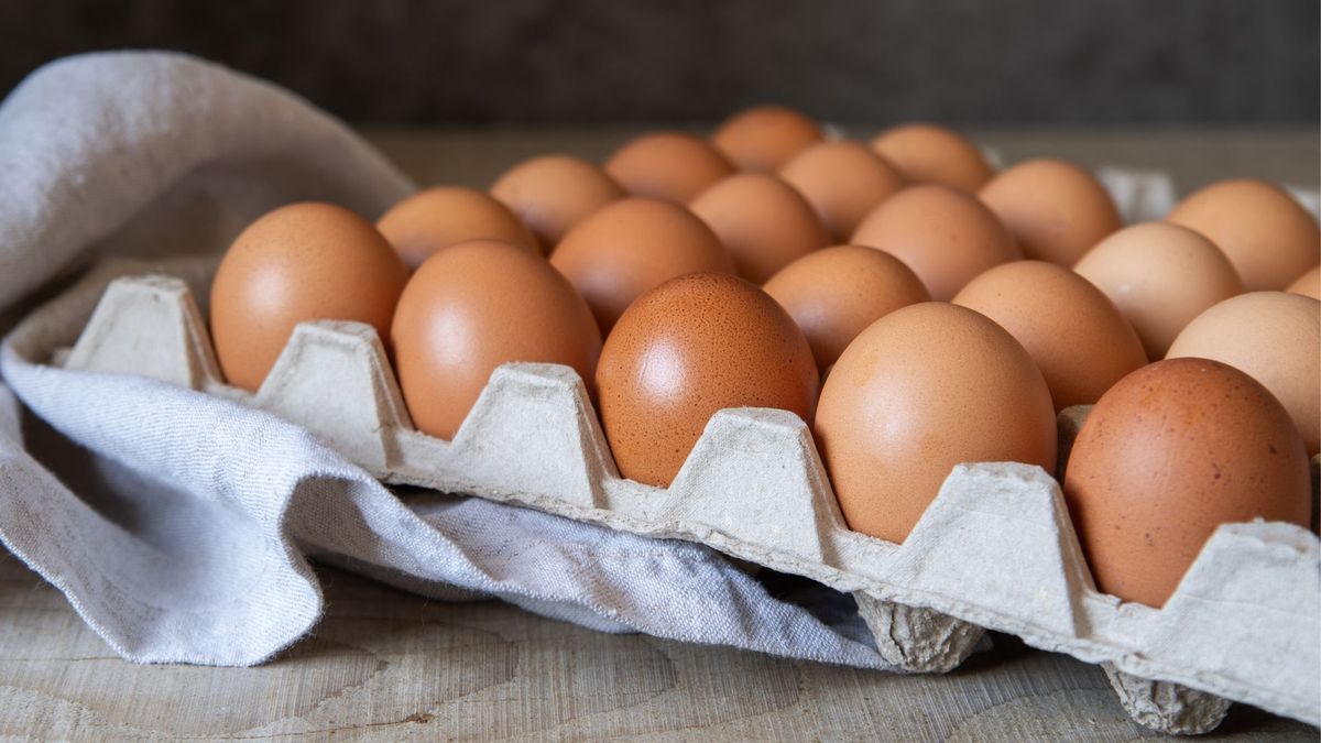 Precio del huevo en Colombia