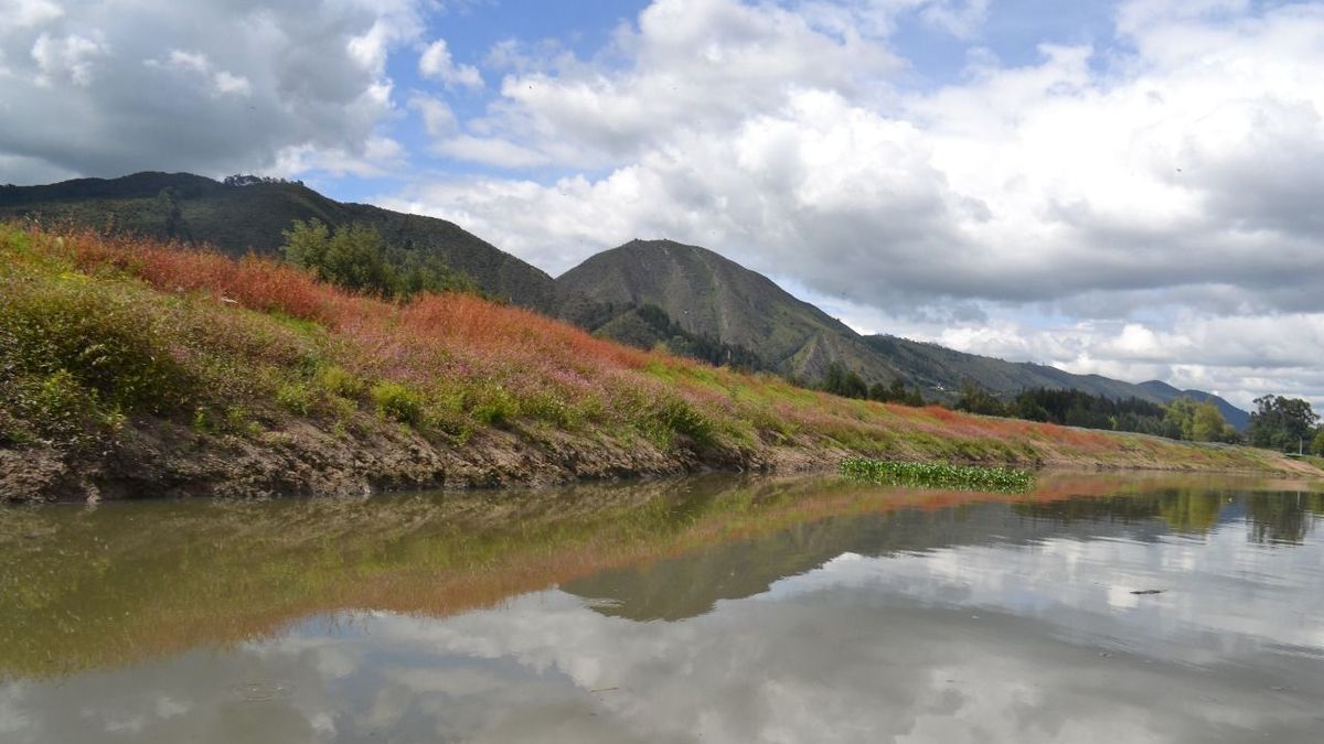 Los embalses de Tominé, Sisga y Neusa que surten agua a Bogotá.