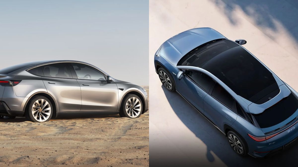 Los vehículos están adaptados a avances tecnológicos y técnicos.