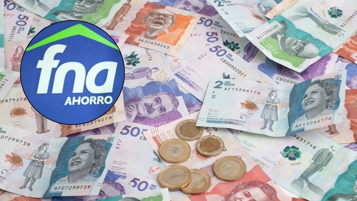 La entidad desarrollará nuevos modelos de crédito.