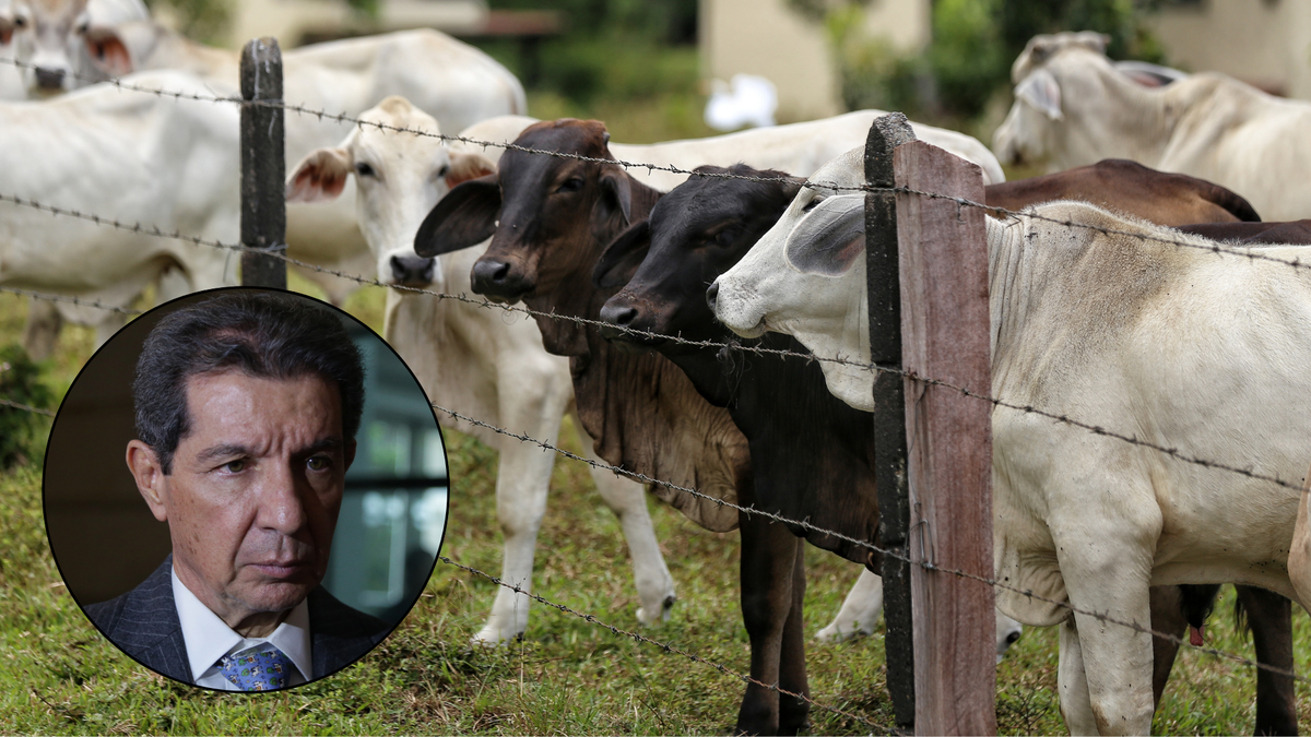 José Felix Lafaurie