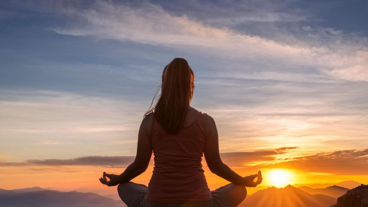 Un experto planteó que la anandamida actúa sobre el sistema nervioso generando un estado que describió como de conexión, presencia y reducción del ego.