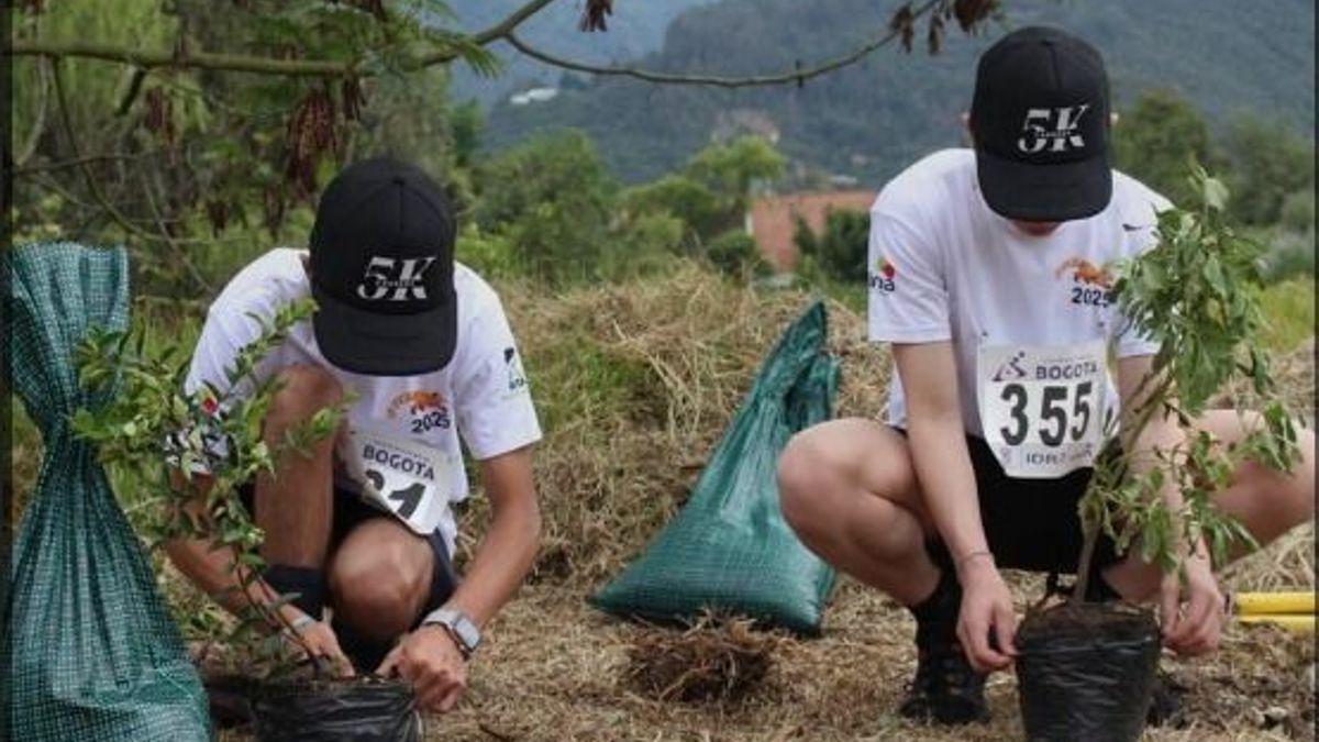 Día de la Tierra: Estudiantes realizan jornada de siembratón en humedal de Bogotá