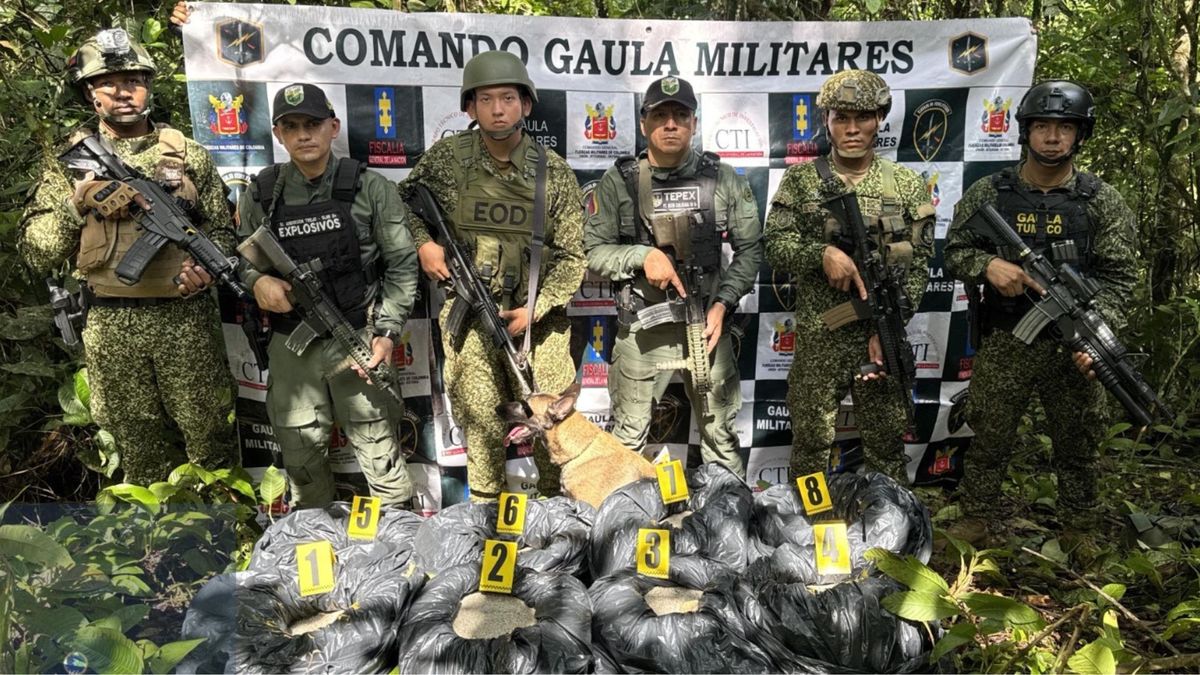 Tumaco: explosivos pertenecerían a grupo “Iván Ríos” y serían usados en atentados