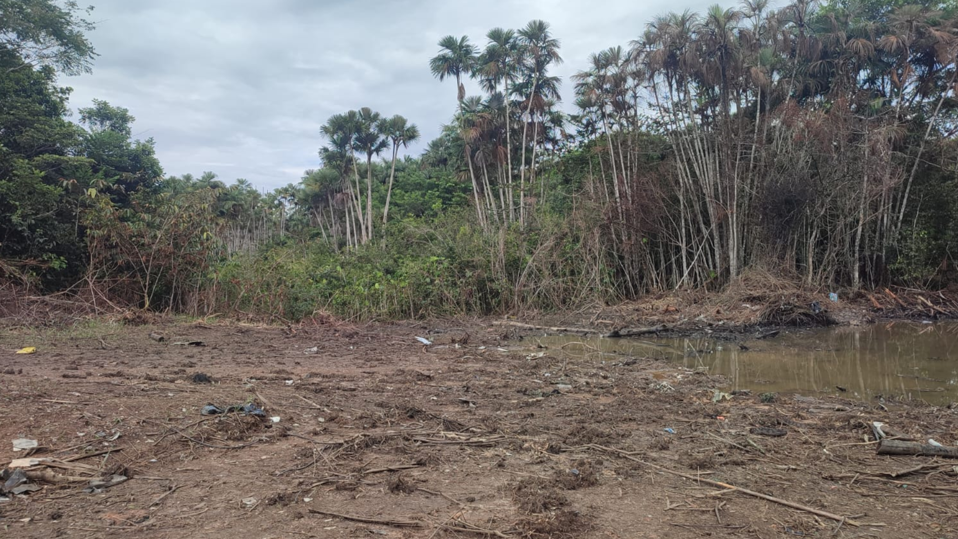 Zona del accidente del avión Hércules en Puerto Leguízamo. 