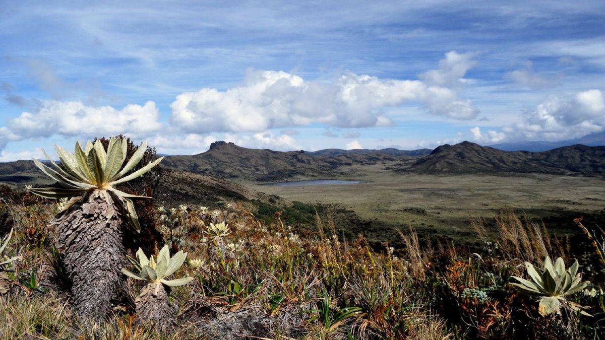 Parque Nacional Natural Puracé en el Huila