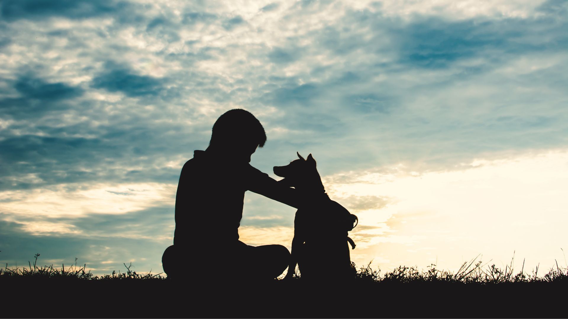 Los vínculos entre humanos y animales pueden ser muy fuertes.