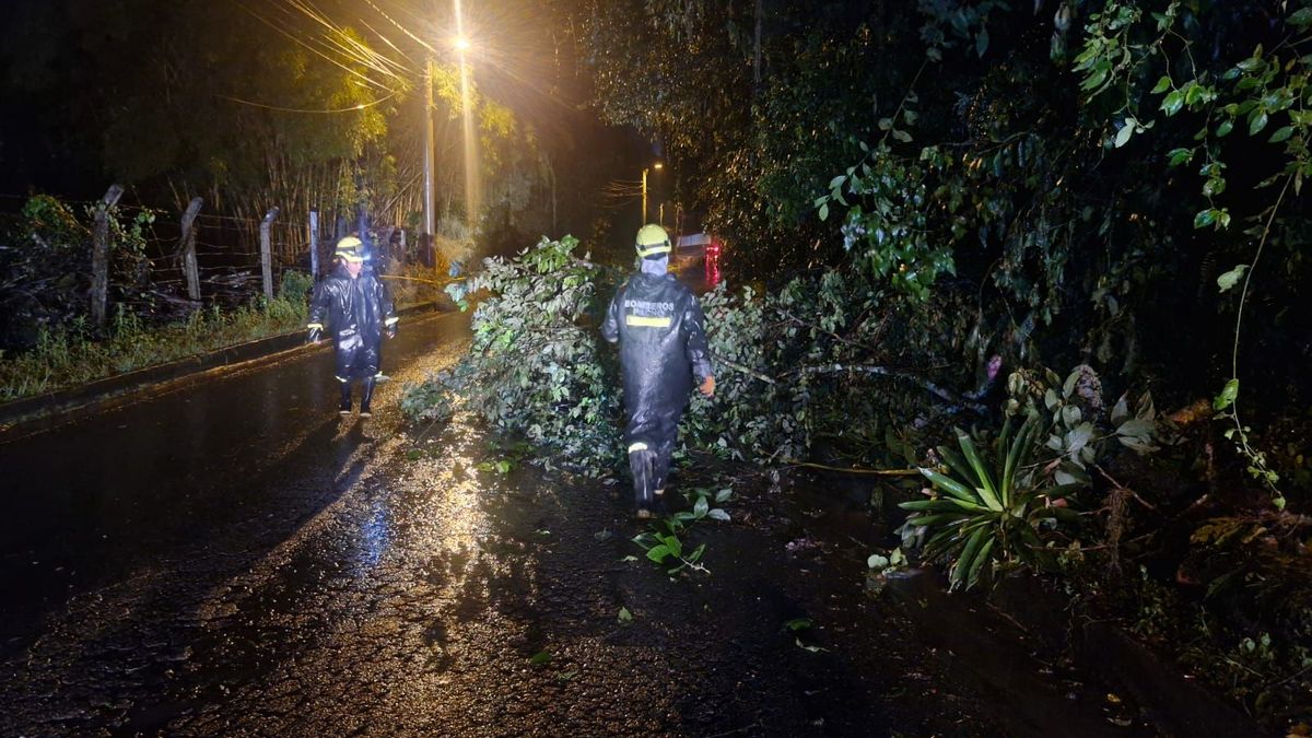 Municipios como La Mesa y San Antonio del Tequendama enfrentan deslizamientos de tierra y crecientes de quebradas, afectando a varias familias.
