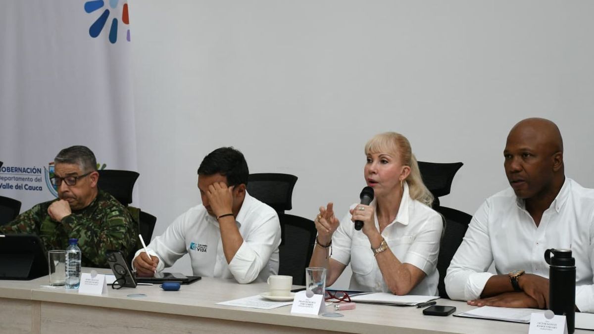 Consejo de Seguridad Valle del Cauca