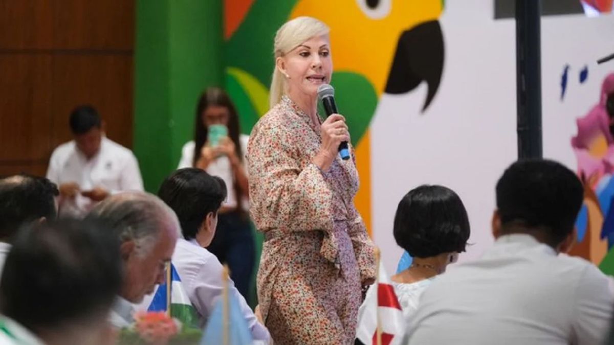 Gobernadora del Valle, Dilian Francisca Toro