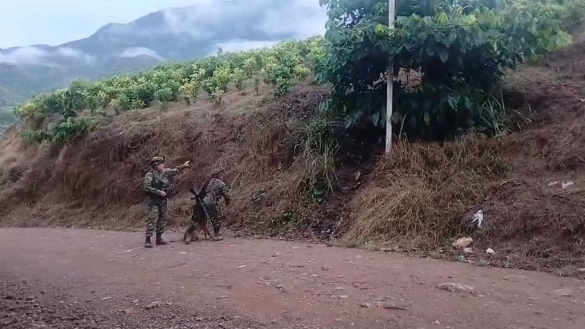 Con un maletín con 20 kilos de explosivos se pretendía ejecutar una acción terrorista en el municipio de Argelia, Cauca
