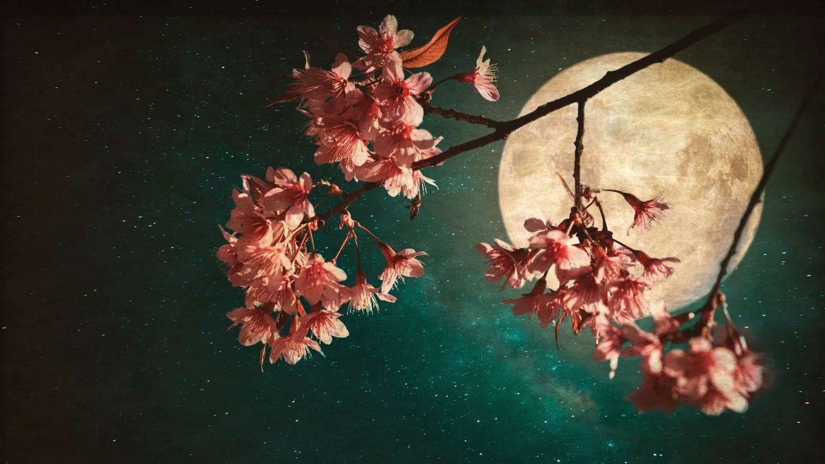Las dos lunas llenas de mayo de 2026 podrán observarse en Colombia durante la noche y madrugada, según el evento.