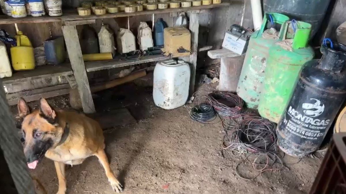 En El Tambo Cauca, el Ejército propino un duro golpe a las disidencias de las farc