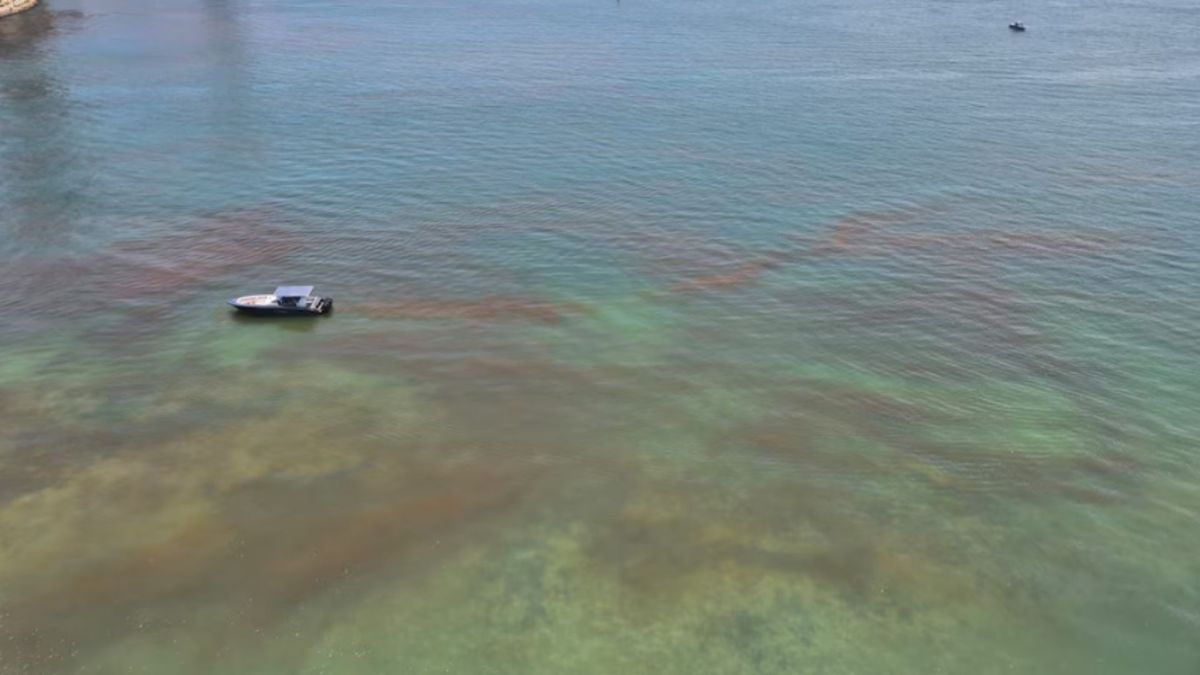 Extraña mancha en el cuerpo de agua