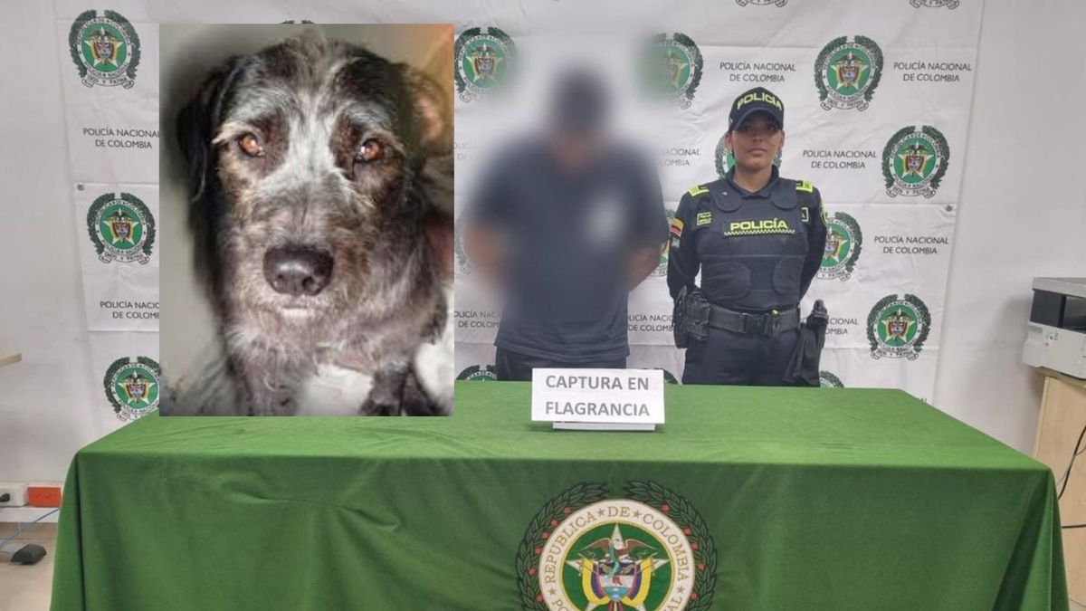 Policía del Valle del Cauca