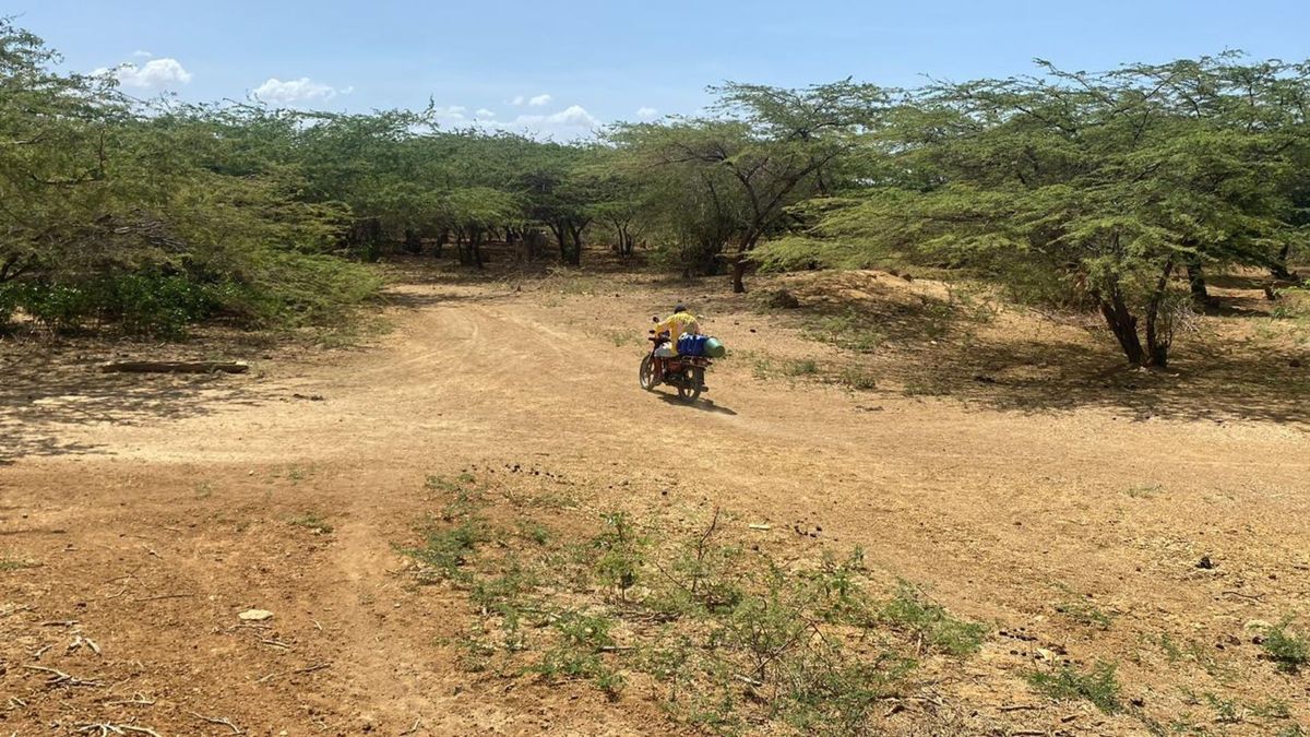 Mujer wayúu murió sin ver el agua potable en su ranchería