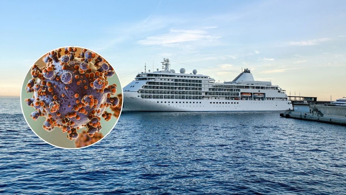 Hantavirus, el virus que mantiene aislado a un crucero en Cabo Verde