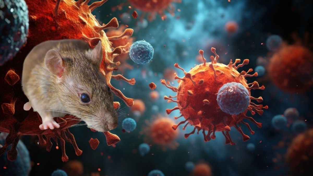 Hantavirus empieza con síntomas similares a la gripe