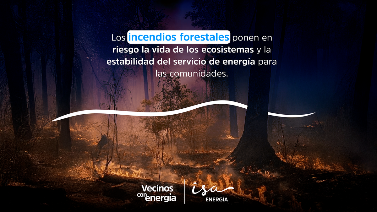 Contenido patrocinado incendios forestales