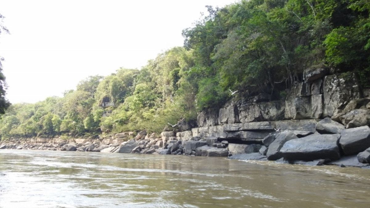 El 74% de la deforestación del parque nacional Tinigua se dio entre 2018 y 2022