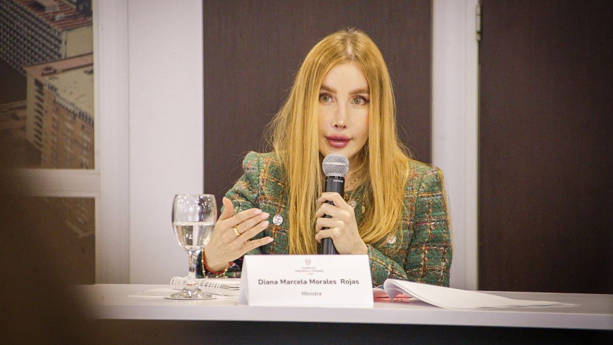 La ministra de Comercio, Industria y Turismo, Diana Marcela Morales Rojas.