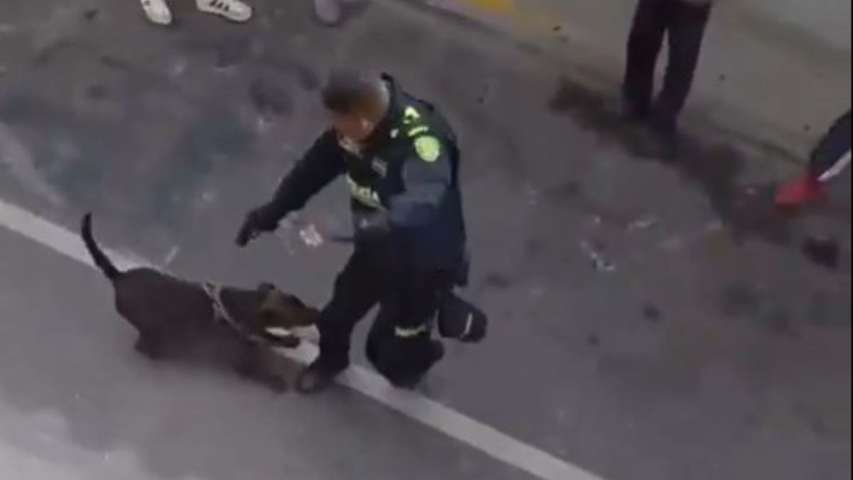 Policía dispara a perro