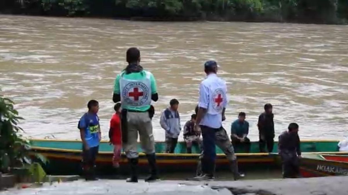 Informe Anual del Comité Internacional de la Cruz Roja sobre la situación humanitaria en Colombia.
