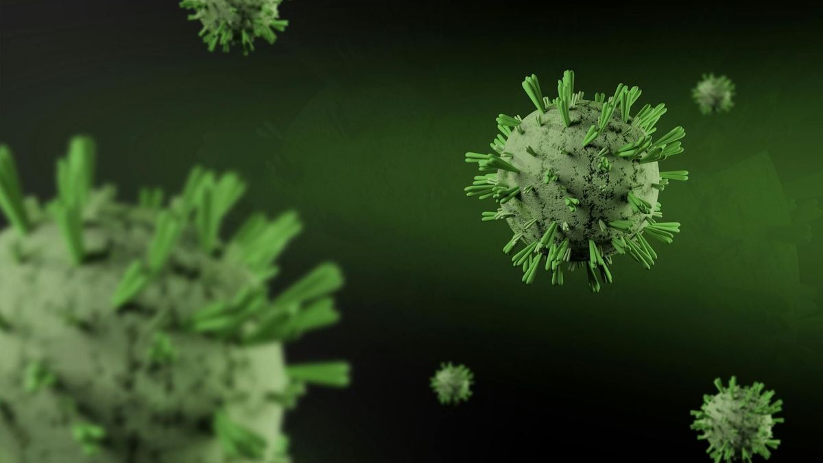 Norovirus