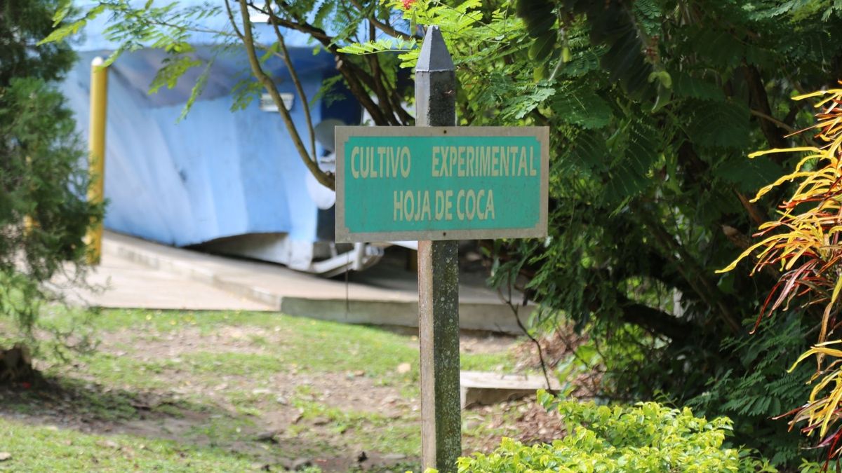 En el Cenop, el principal centro de formación de la Policía Nacional en el país, entrena el Comando Jungla, la unidad de la Dirección de Antinarcóticos que se encarga de erradicar cultivos ilícitos y mitigar su impacto ambiental.