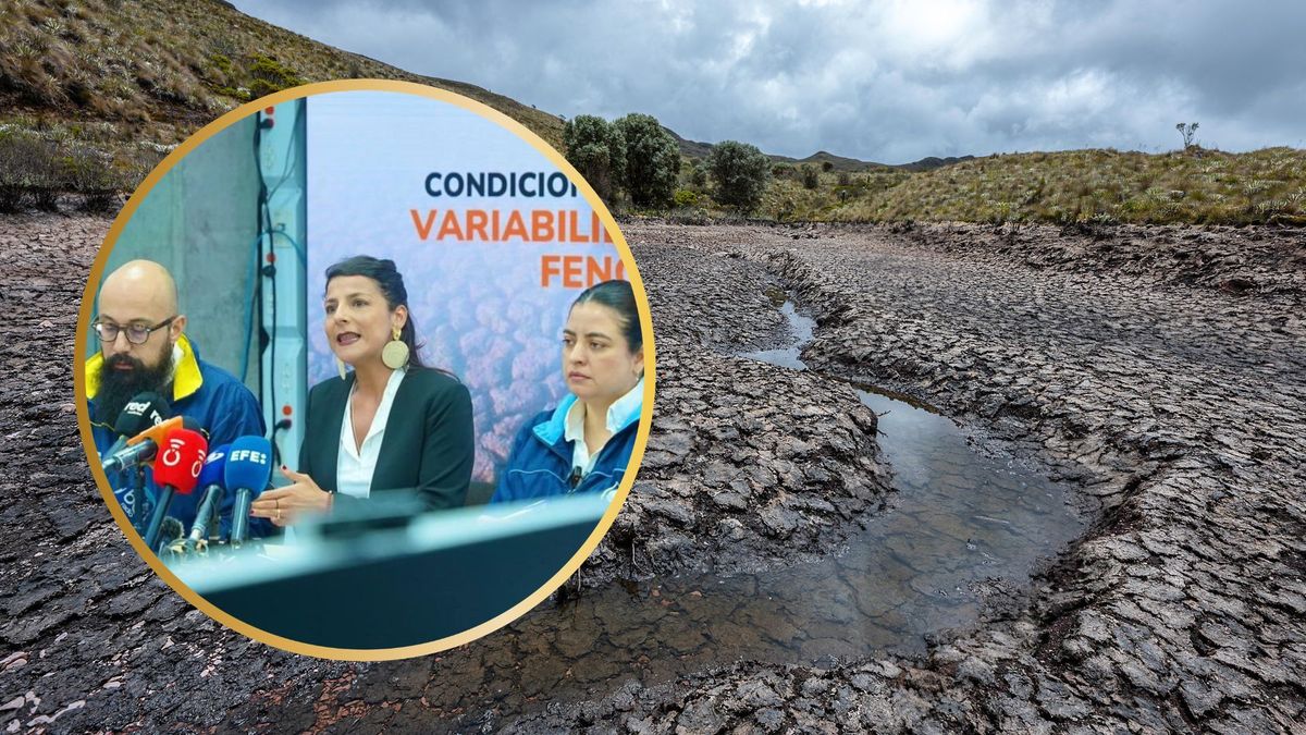 Colombia enfrentaría un fenómeno de El Niño “fuerte o muy fuerte”:, que llegaría de manera anticipada.