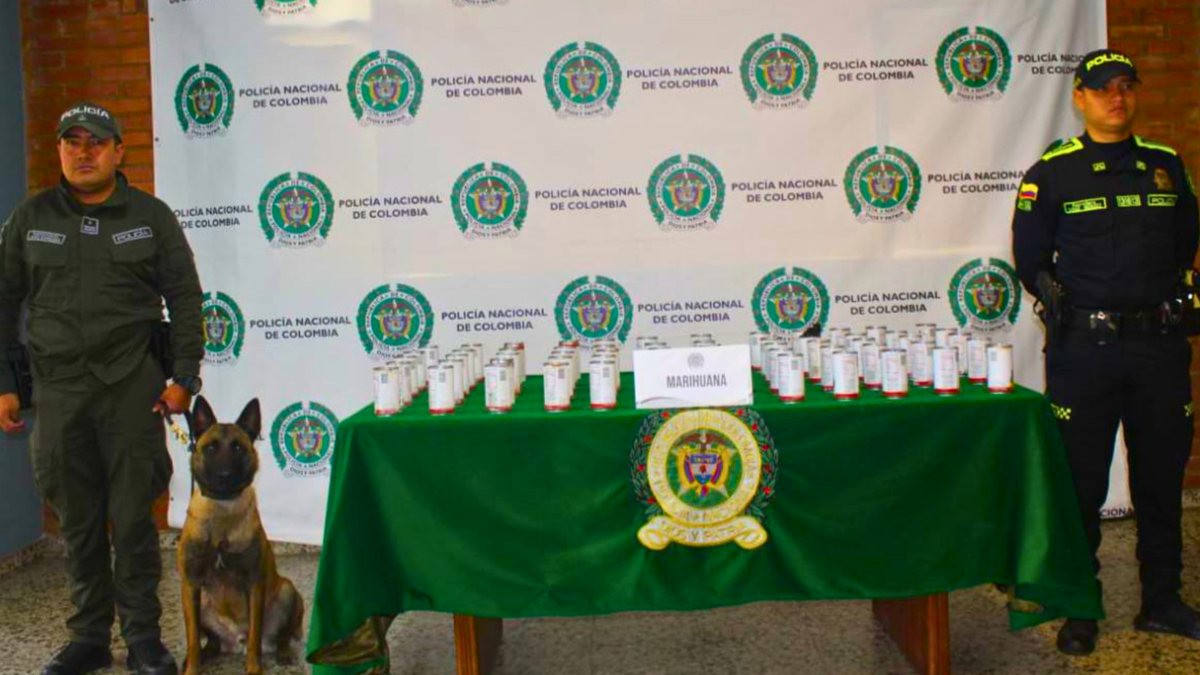 Jeico, perro antinarcóticos, que descubrió un nuevo cargamento de marihuana.