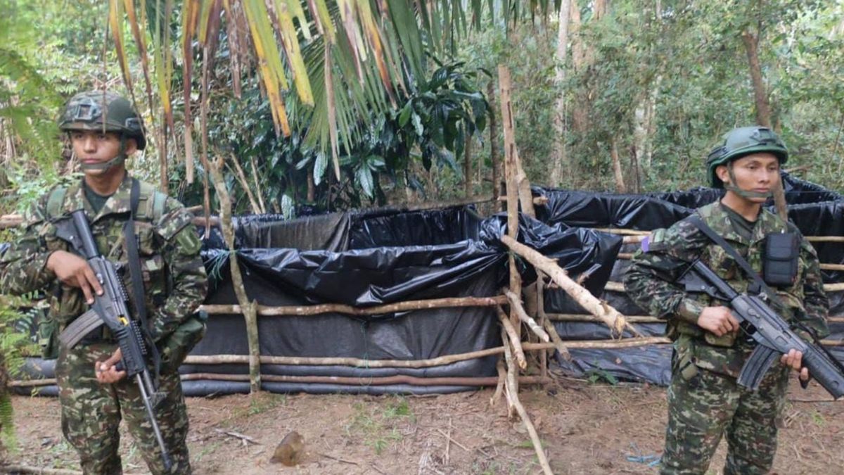 ELN pierde millonaria refinería ilegal tras operativo militar en el Catatumbo