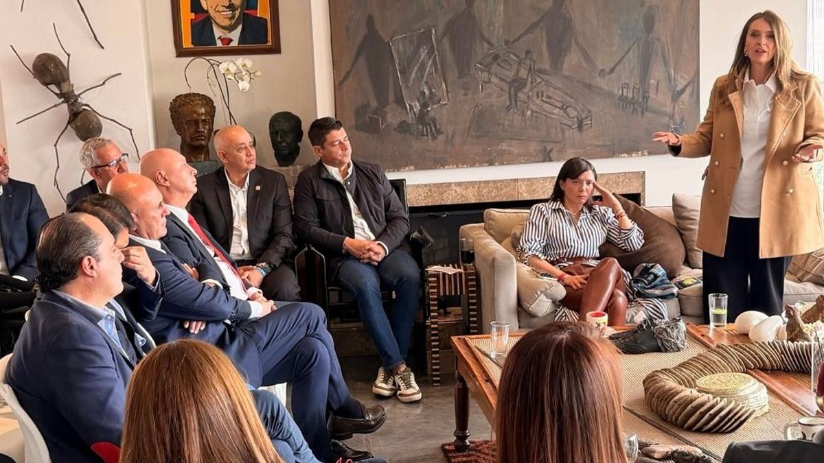 Paloma Valencia Partido Liberal