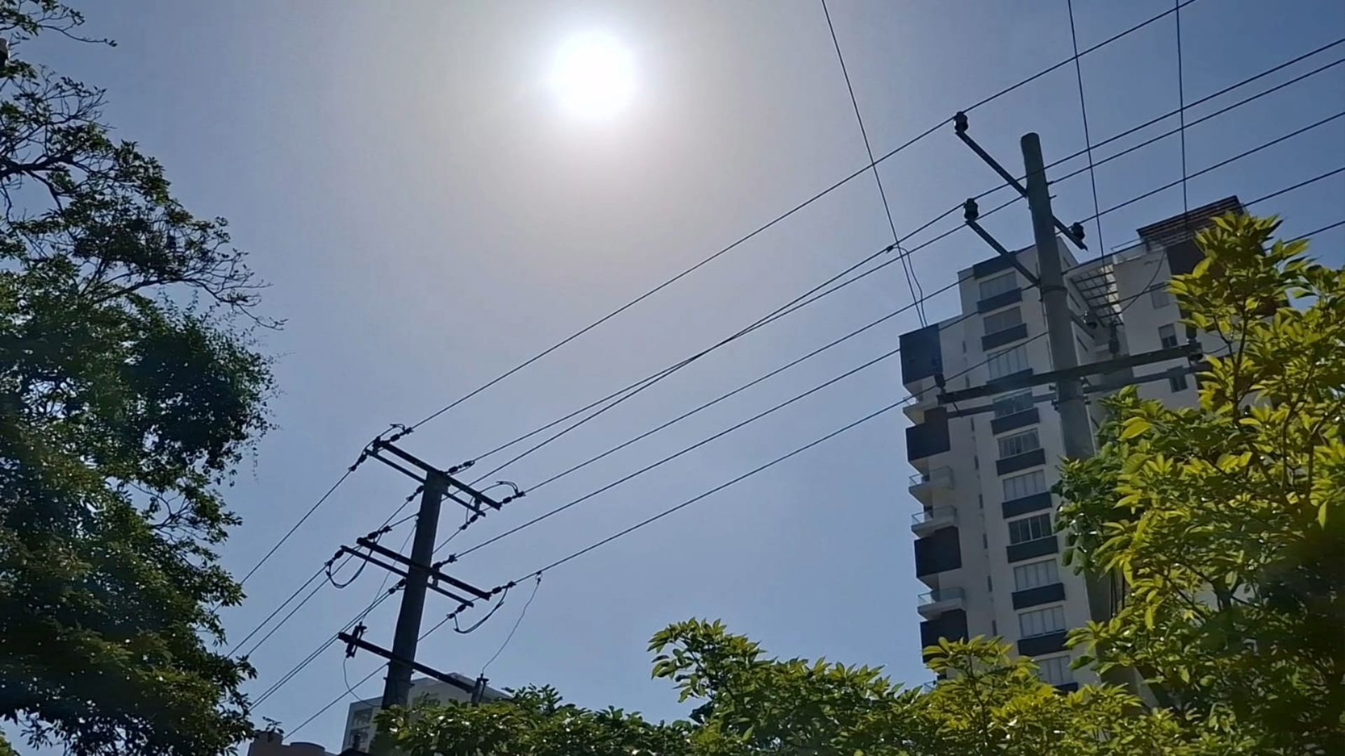 ¡Barranquilla arde! Ciudadanos buscan refugio bajo árboles mientras el calor dispara ventas de aires acondicionados