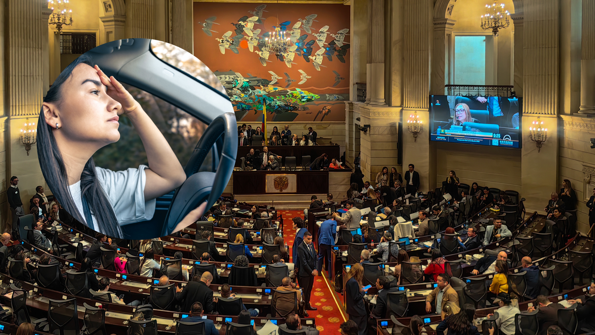 Sillas seguras Congreso