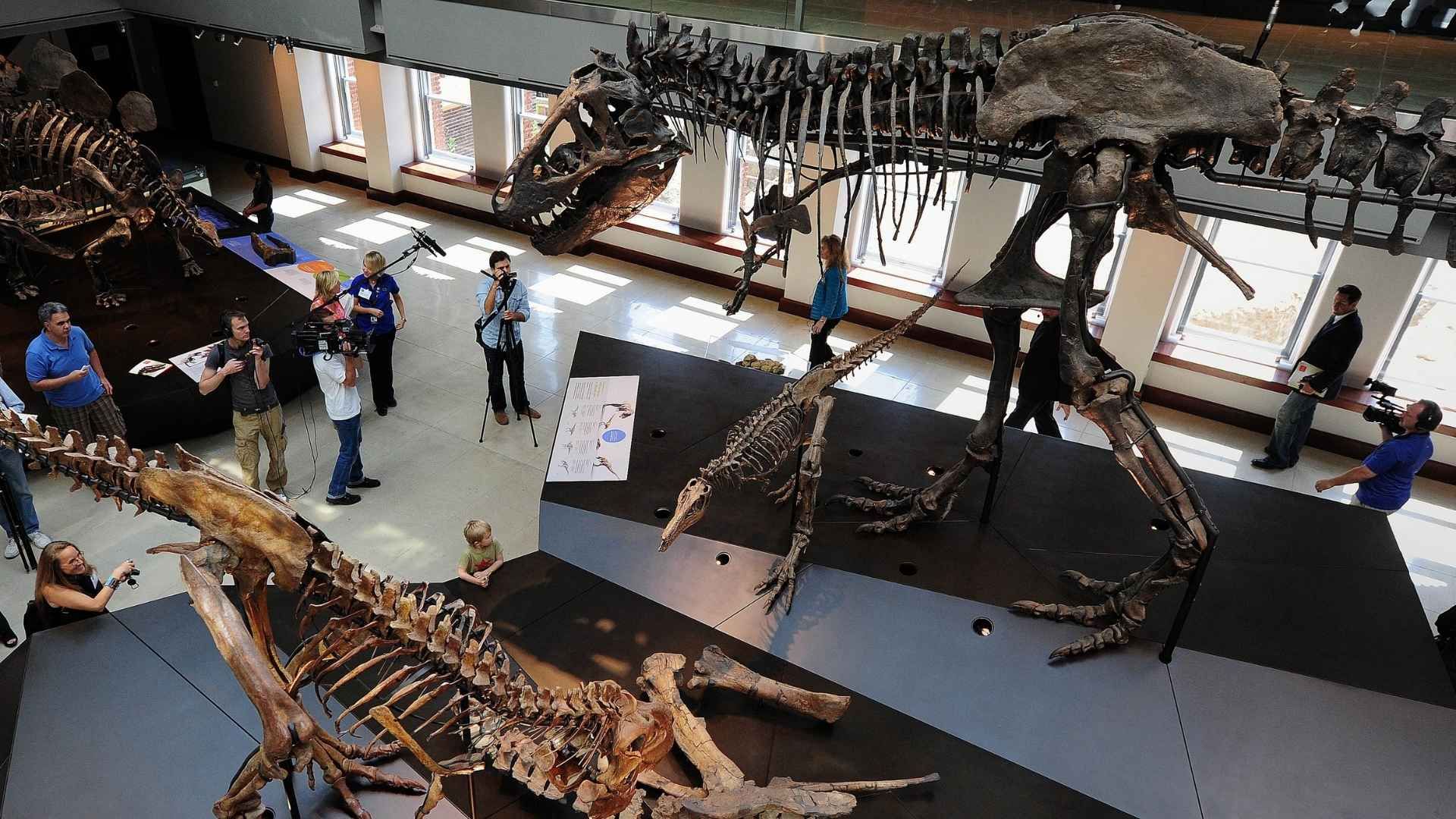 El Museo de Historia Natural aparece como una de las alternativas culturales más visitadas en Los Ángeles.